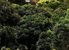 Laura Herb and Spice Garden