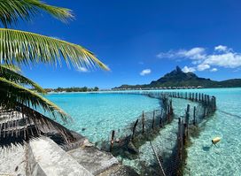 Bora Bora Lagoonarium