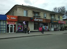 Darwin