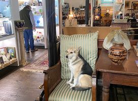 Deeside Antiques Emporium