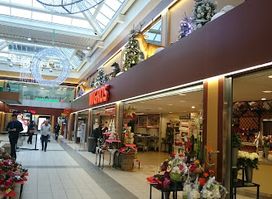Meyrin Center