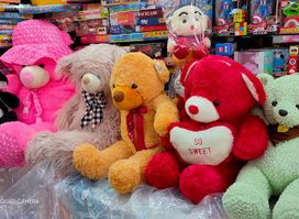 Toy Gift Shop Margao Gramudyoug