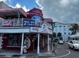 Salty Souvenirs Dog