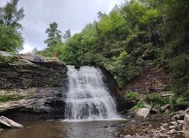 Swallow Falls State Park