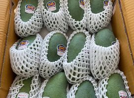 XUÂN SHOP VIỆT NHẬT SHIN SAKAE NAGOYA
