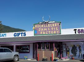 Willow's Huckleberry land
