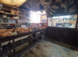 Woodsies Gem Shop