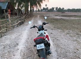 Kompot