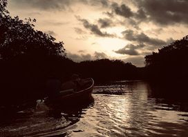 Gambia Local Tours