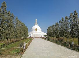 World Peace Pagoda
