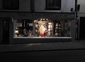 The Curiosity Shop