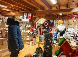 Artico Christmas House