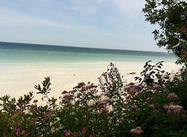 Møns Klint