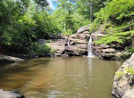 Cheaha Falls