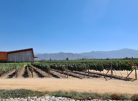 WineShop Viña Santa Ema / El Peral