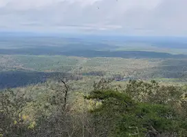 Cheaha Wilderness