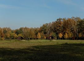 Polana Opaleń