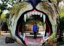 Ayub National Park