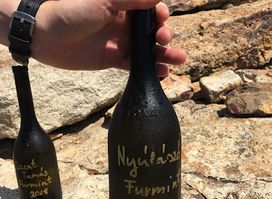 Balassa Wine