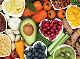 ALIMENTACION INTELIGENTE DOLG CHILE