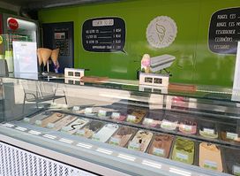 Der Eismacher Neusiedl