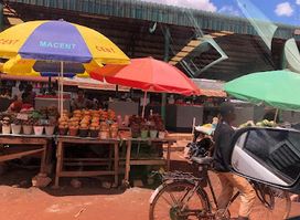 Mitech Green Market