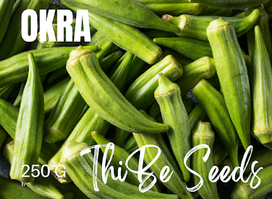 ThiBe Seeds CC