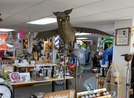 The Indian Lake Store
