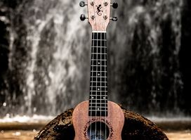Upa Upa Ukulele Shop Bora Bora
