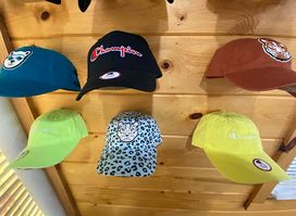 BasicShirtCo