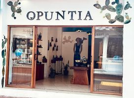 Opuntia Ceramics