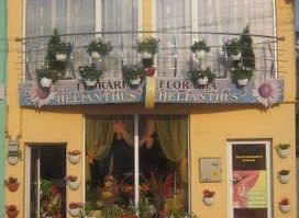 Floraria Helianthus Baia Mare