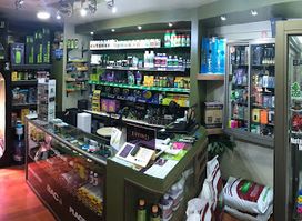 TIENDA ELEVEN local 33