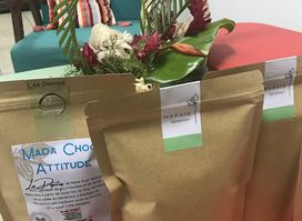 Madachoc’attitude