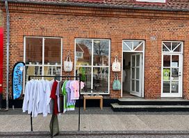 lysetsland Skagen