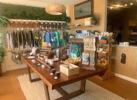 Koru Eco Brand / Koru Swimwear