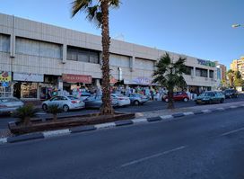 Razin Center