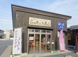 Tottori Sand Dunes Shallot Store Rakkyoya