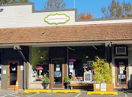 Love Bug Pet Boutique