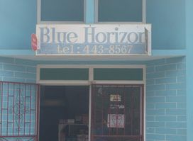 Blue Horizon