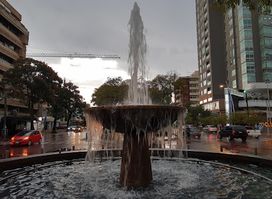 Camellon Chapultepec