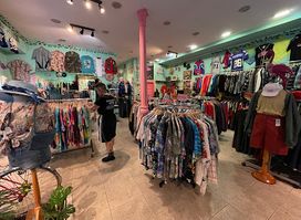 Supernova Vintage (antiguo Flamingos)