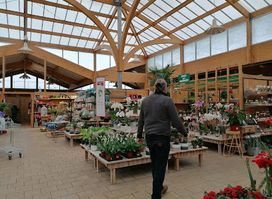 botanic Vivier-au-Court