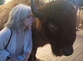 Buffalo Display