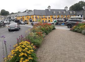Paddy & Nelly Bike Hire