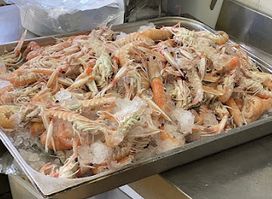 BLUEFIN d.o.o.
