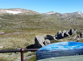 Kosciuszko lookout