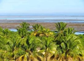 Tofo Beach village tours