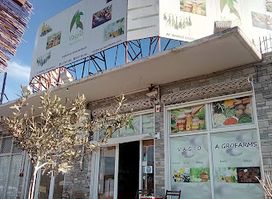 Vagio Agrofarms, Olive Oil Halkidiki,Olives ,Olive oil Shop Halkidiki ,Ελαιόλαδο Χαλκιδική