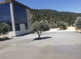 Dibeen farm
